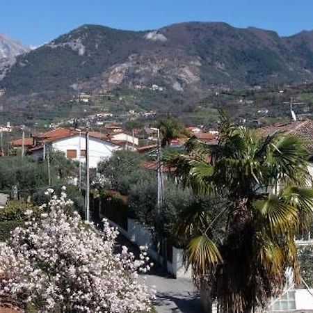 House Versilia Luca E Giada, 5 Chilometri Da Forte Dei Marmi! Bagian luar foto
